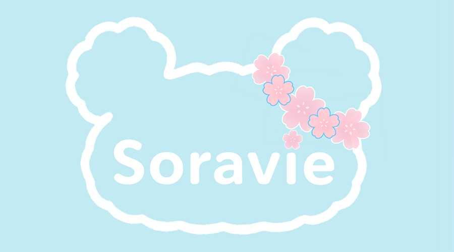 Soravieとは（概要ページへ）